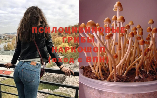 первитин Бородино