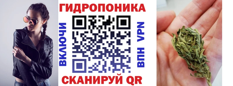 Конопля Amnesia  купить наркоту  Купино 